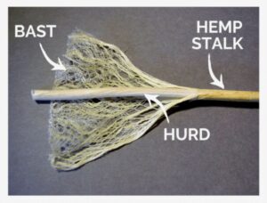 Hurd and bast fiber the hemp source