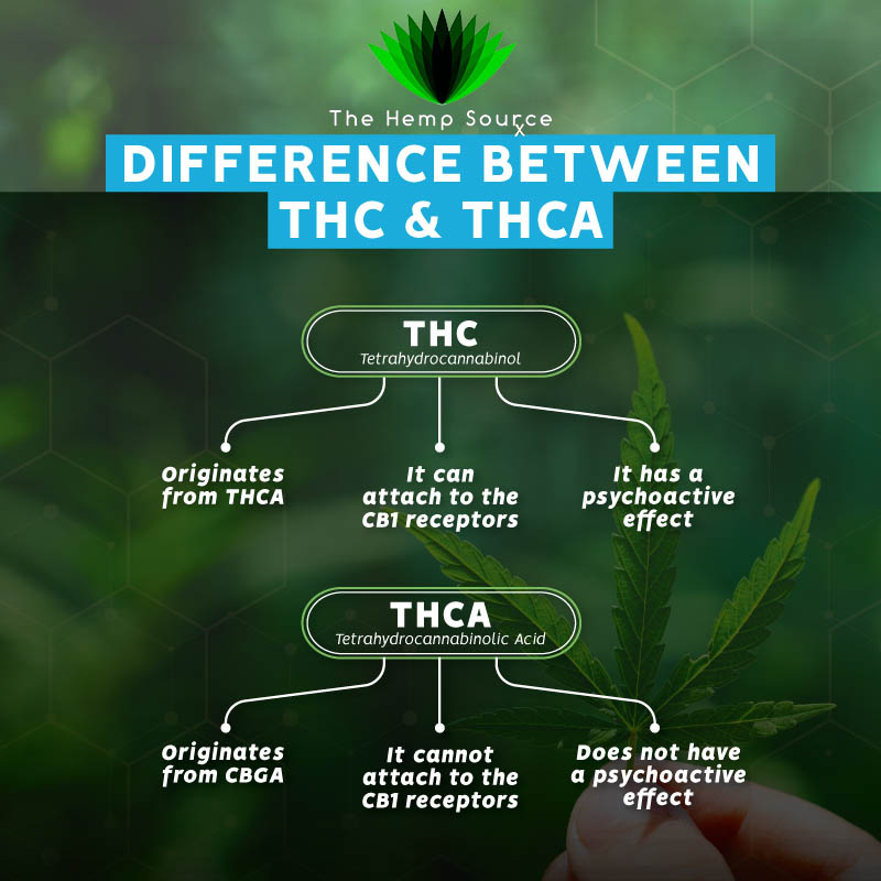Difference Between THC and THCa