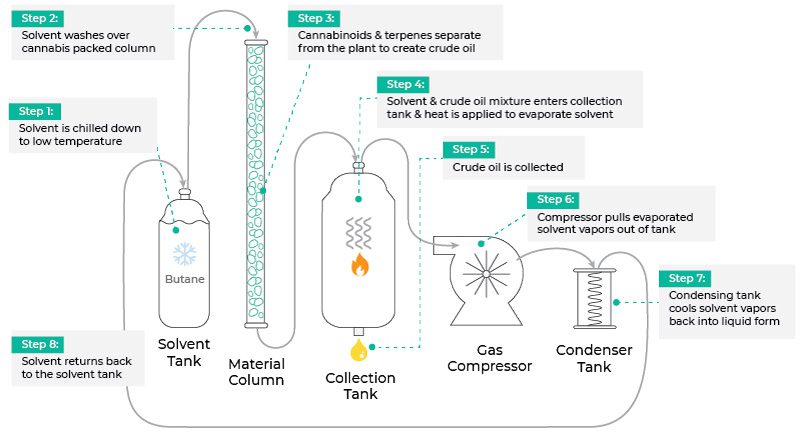 The Difference Between Live Rosin vs Live Resin _ The Hemp Source