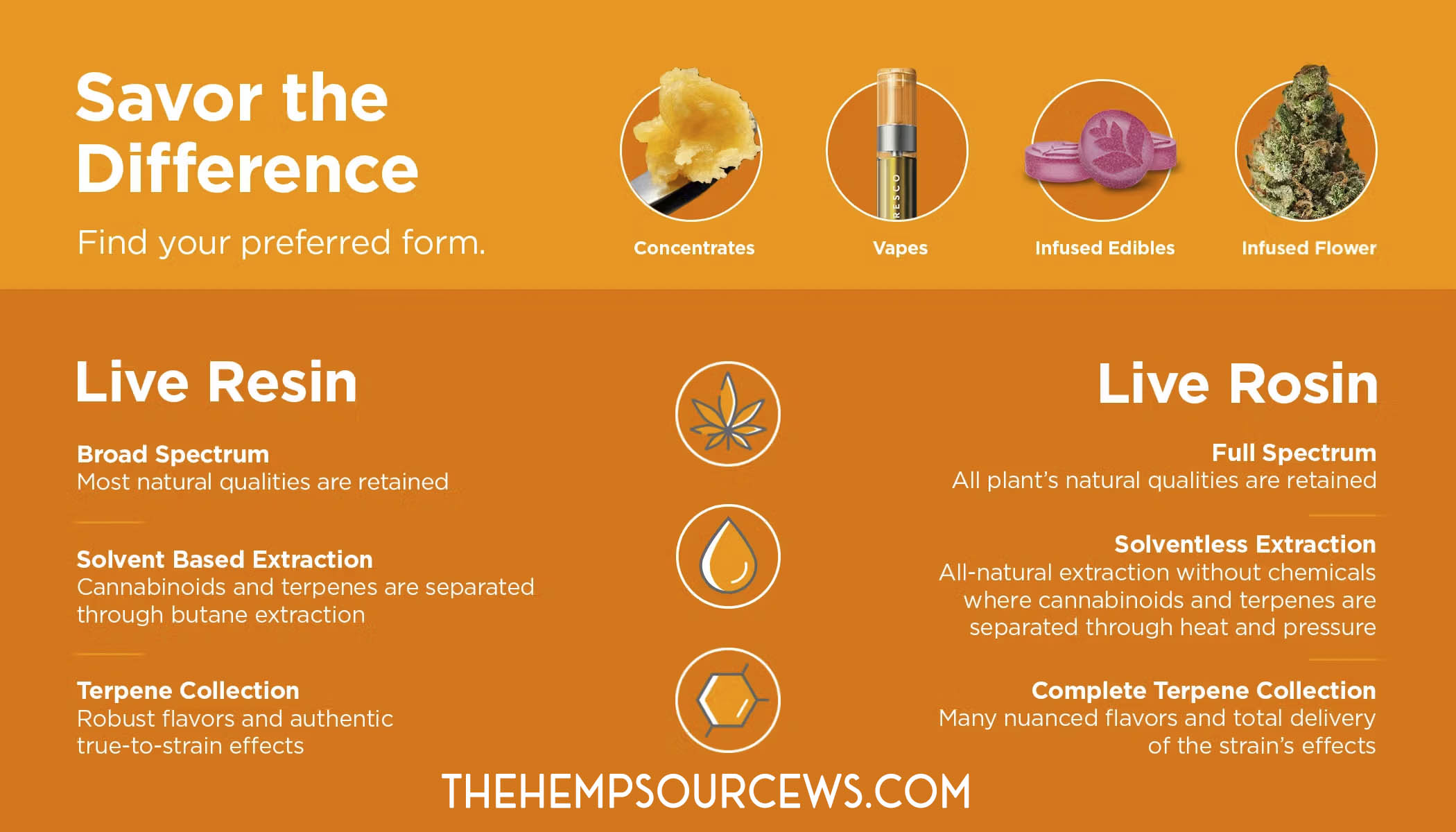 The Difference Between Live Rosin vs Live Resin _ The Hemp Source
