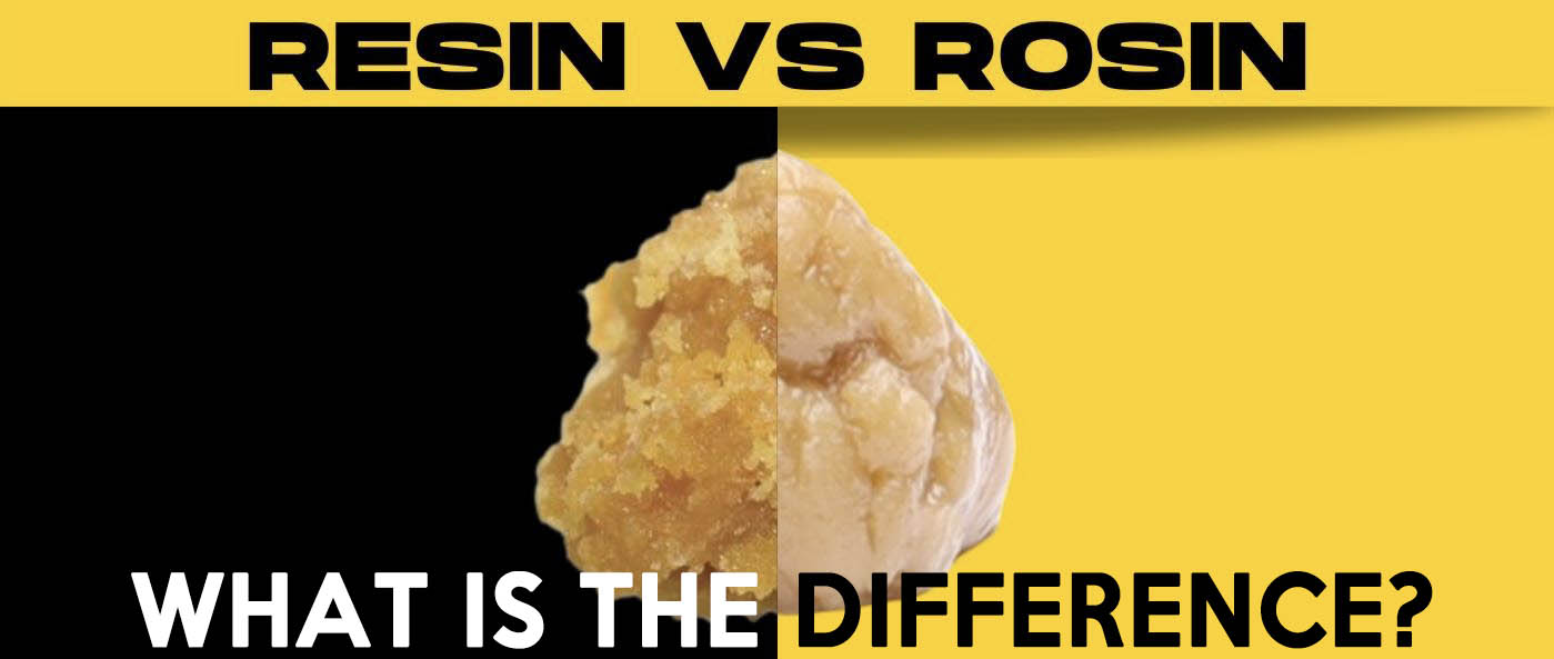 The Difference Between Live Rosin vs Live Resin _ The Hemp Source